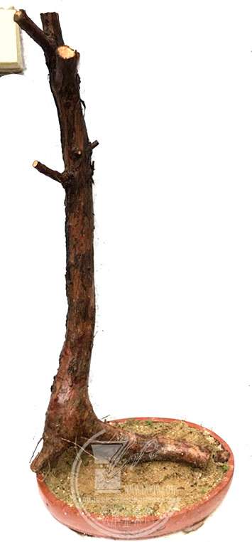7_.jpg