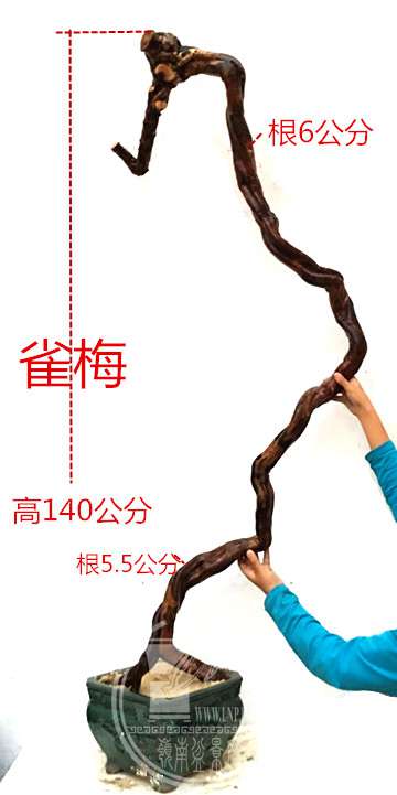 1_.jpg
