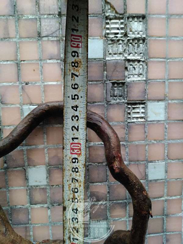 917379