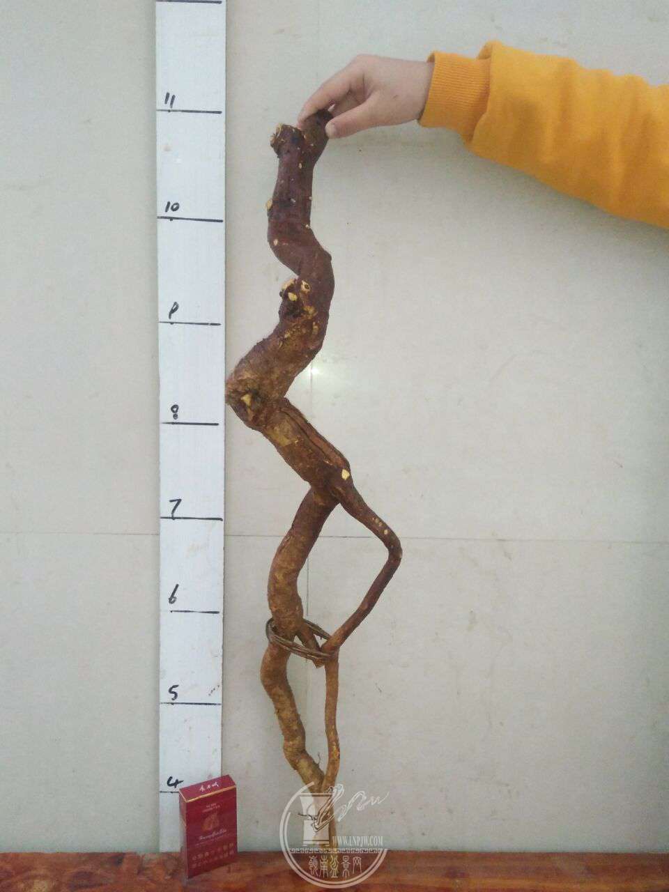 QQͼƬ20171229202836.jpg