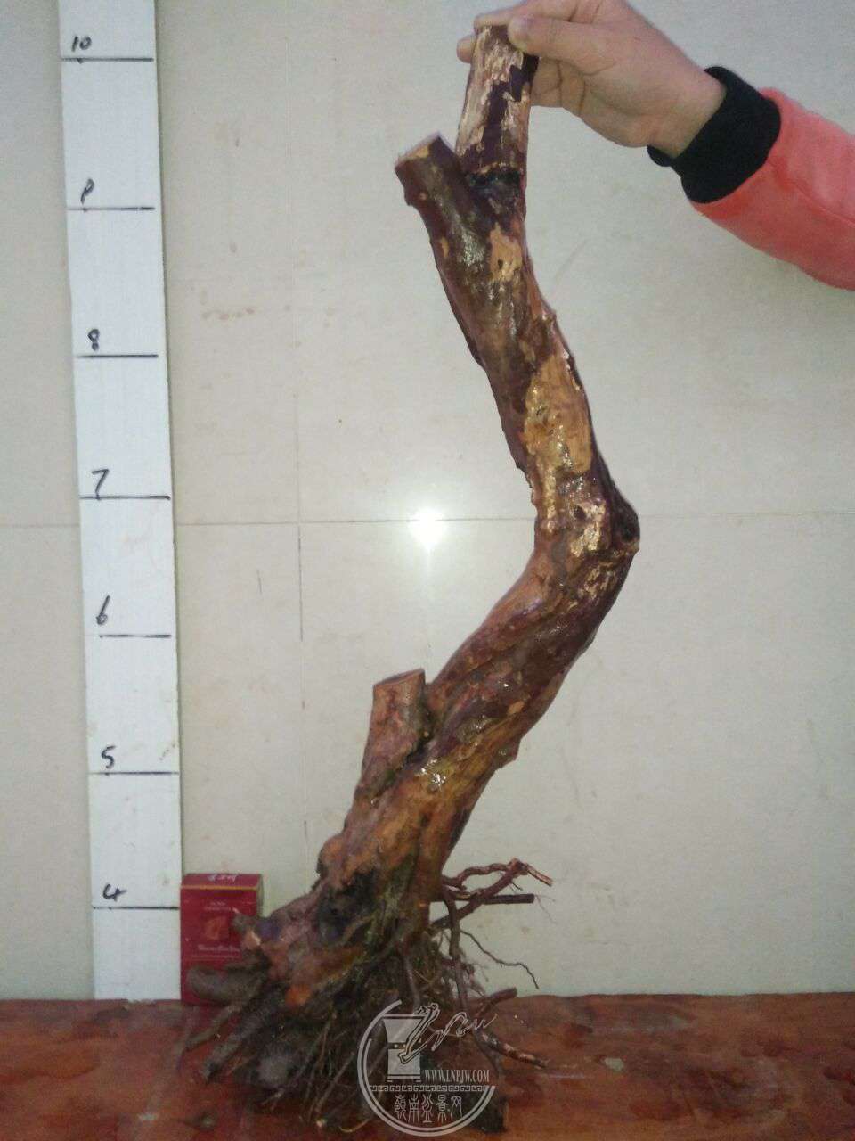 QQͼƬ20171230215804.jpg
