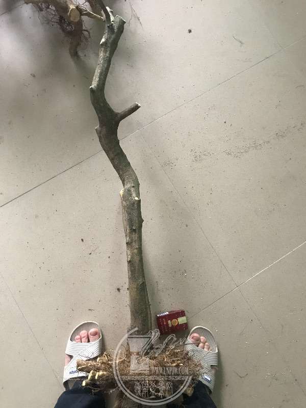 918971
