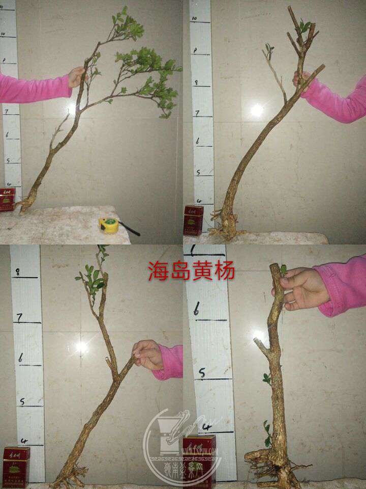 QQͼƬ20180110210532.jpg
