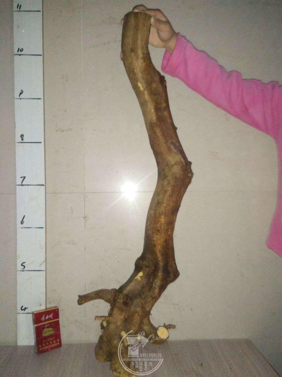 QQͼƬ20180110210632.jpg