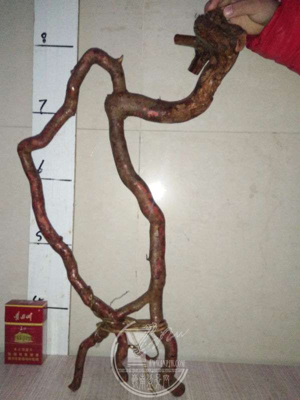 922213