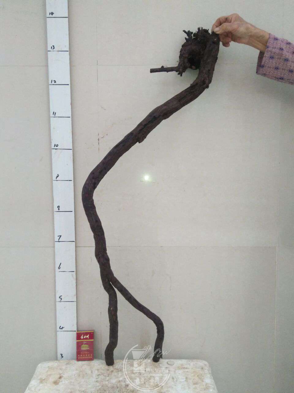 QQͼƬ20180303214059.jpg