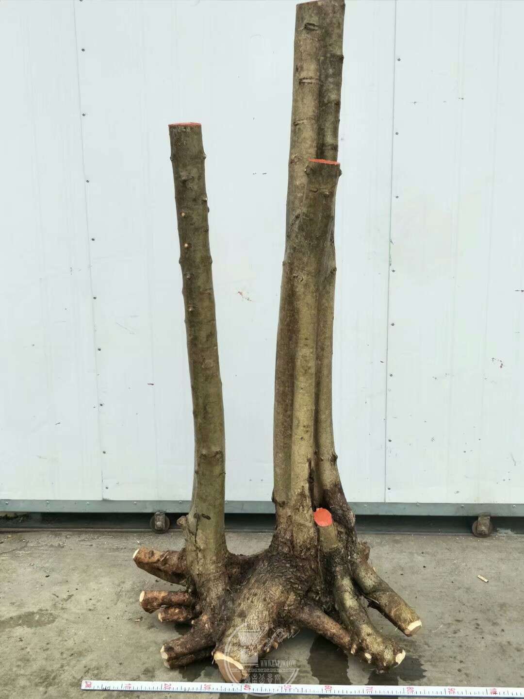 1520341190137.jpeg