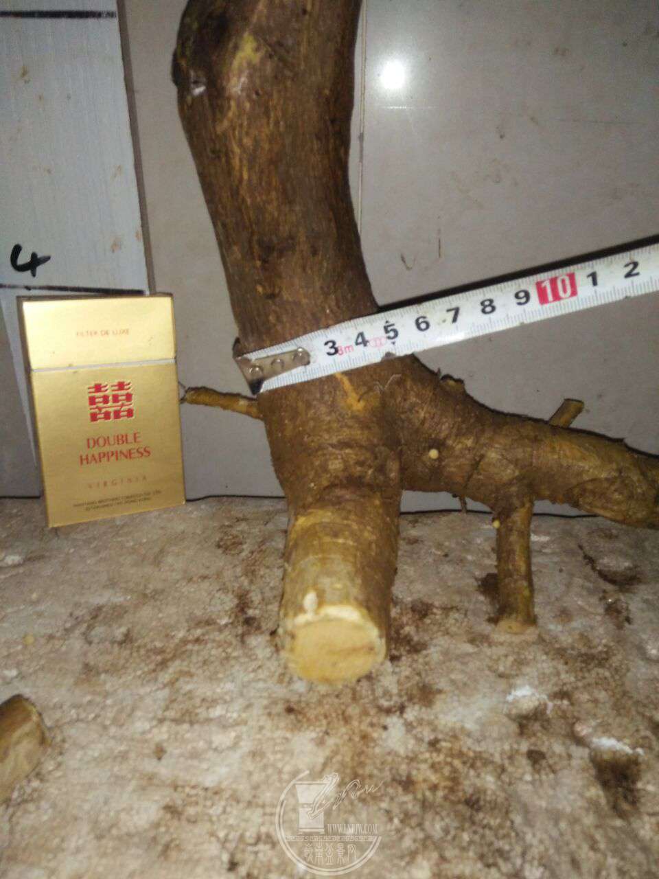 QQͼƬ20180309231444.jpg