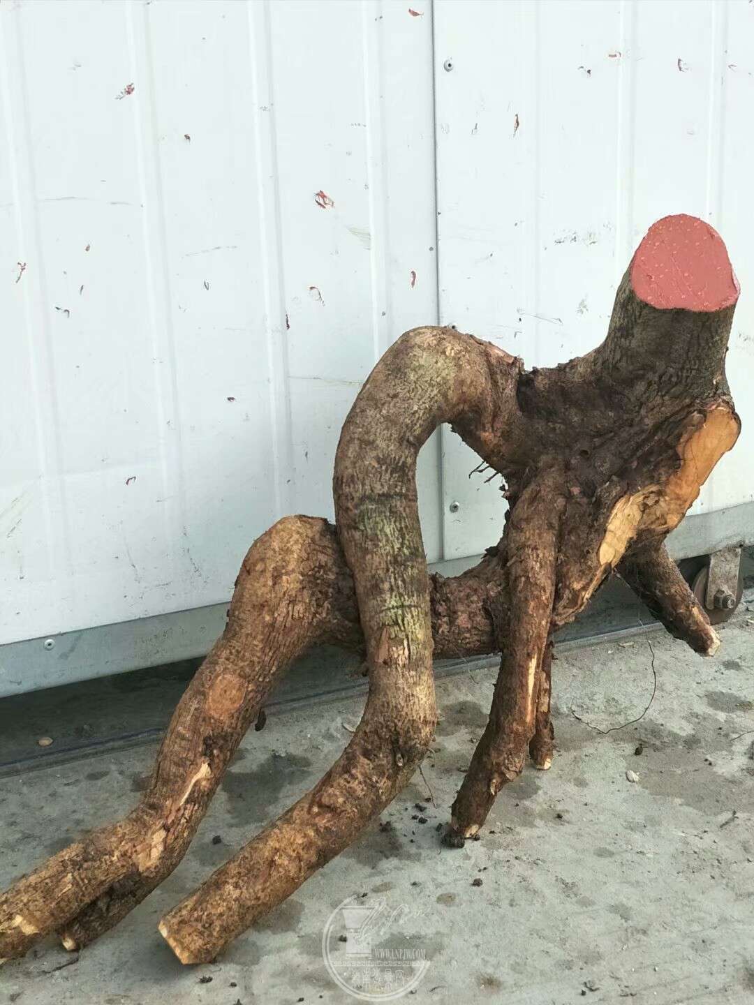 1520659524181.jpeg