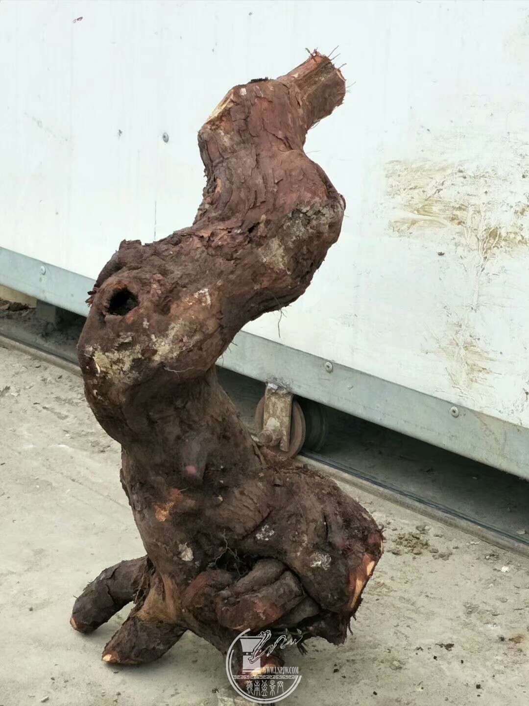 1521080471408.jpeg