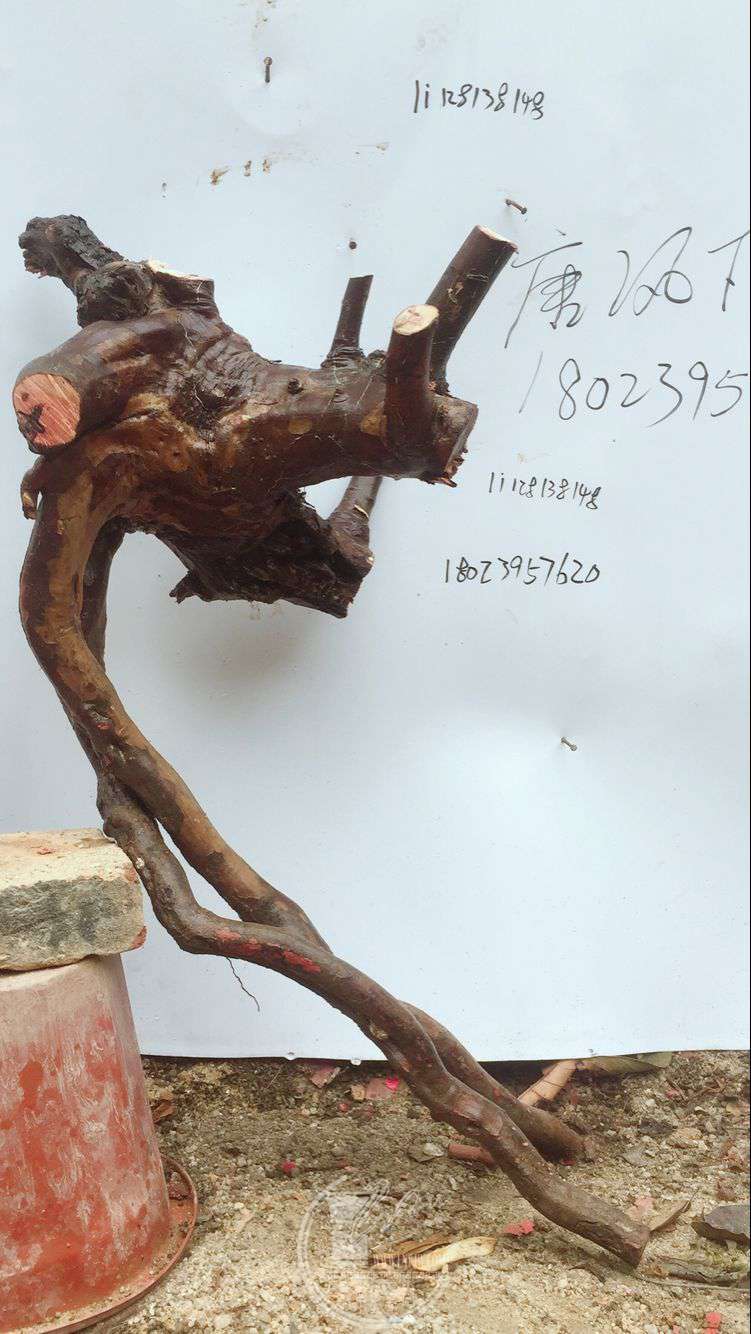 QQͼƬ20180315120821.jpg
