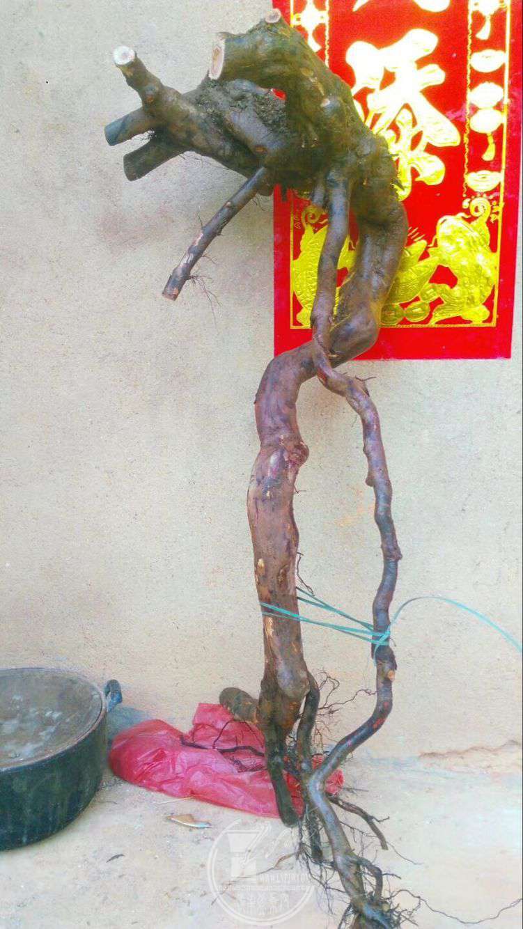 QQͼƬ20180322093848.jpg