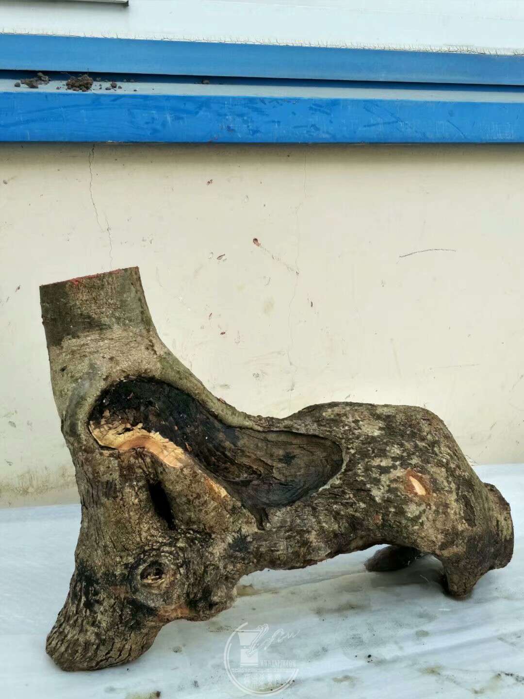 1521805062296.jpeg