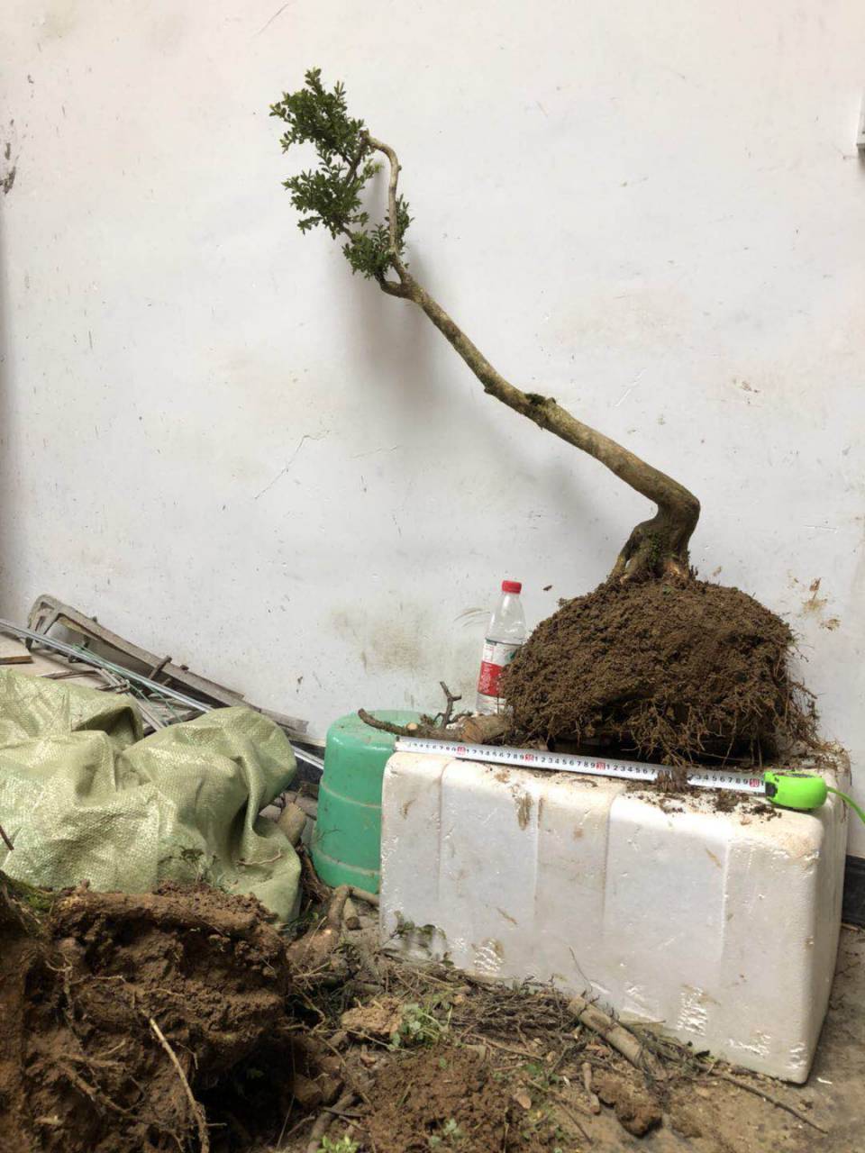 ���ӻ���