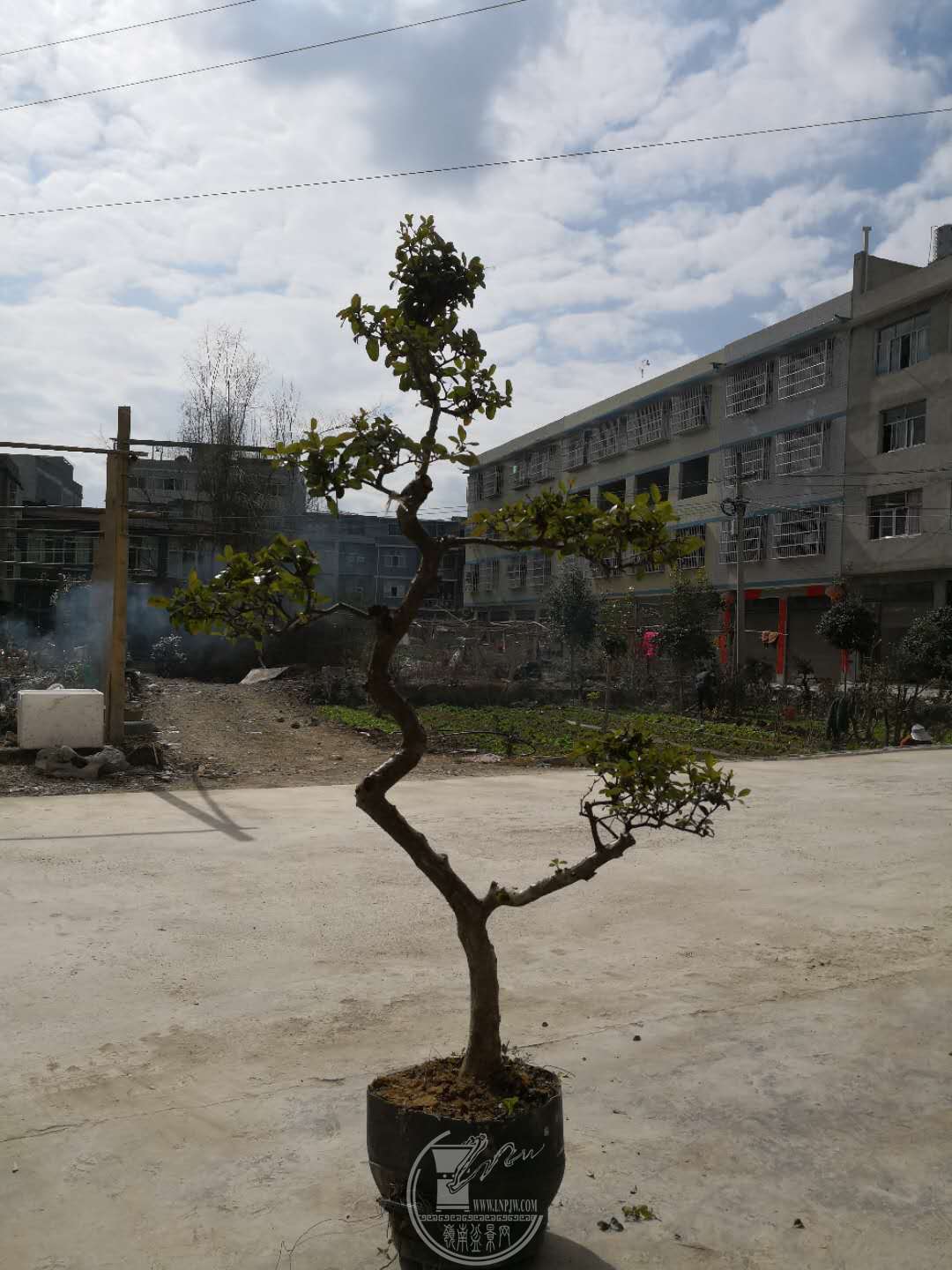 22.jpg
