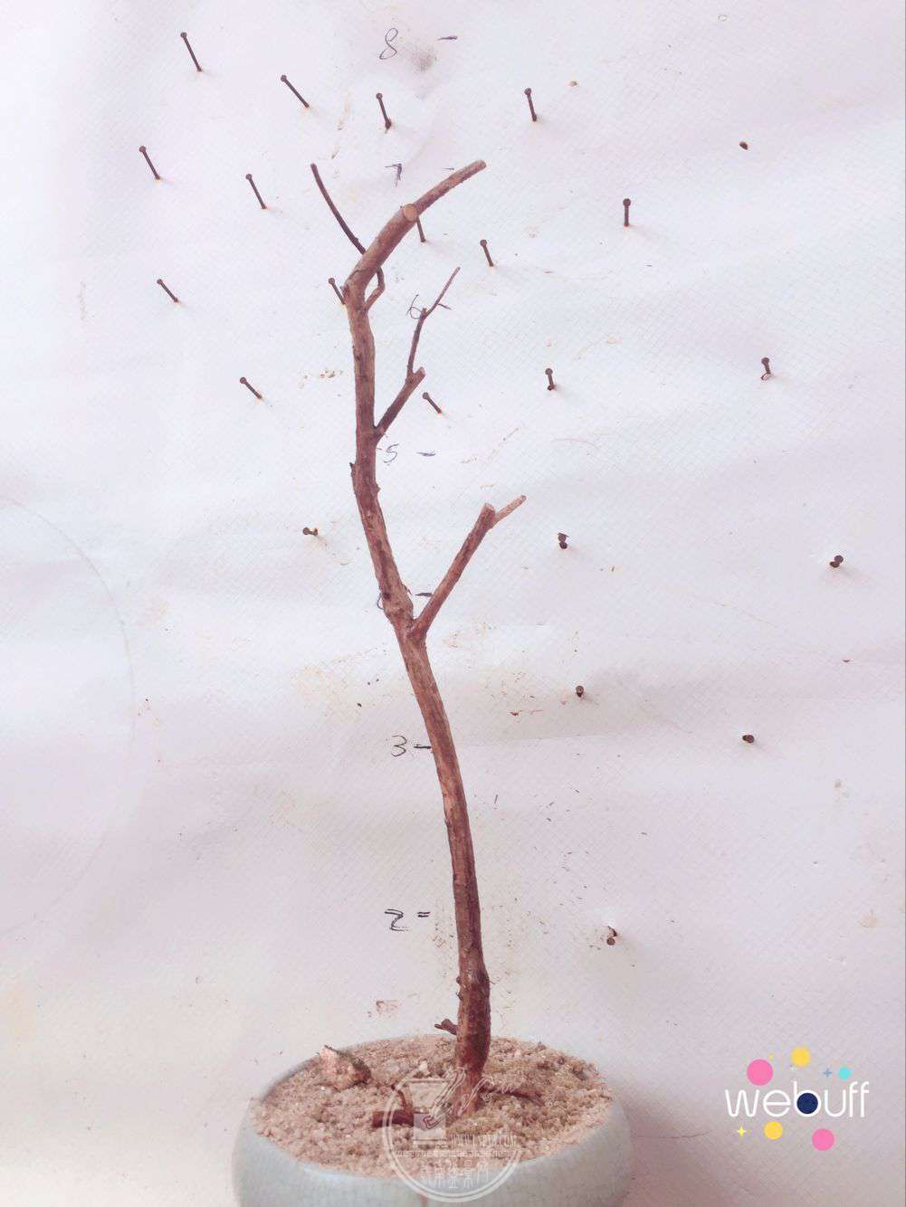 QQͼƬ20180402090300.jpg
