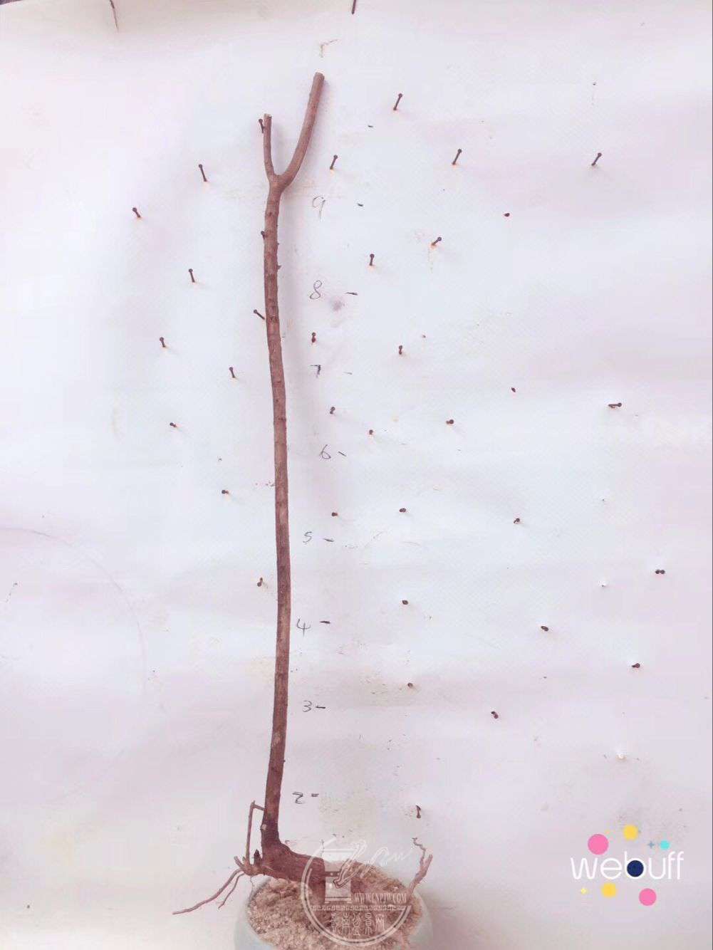 QQͼƬ20180403091457.jpg