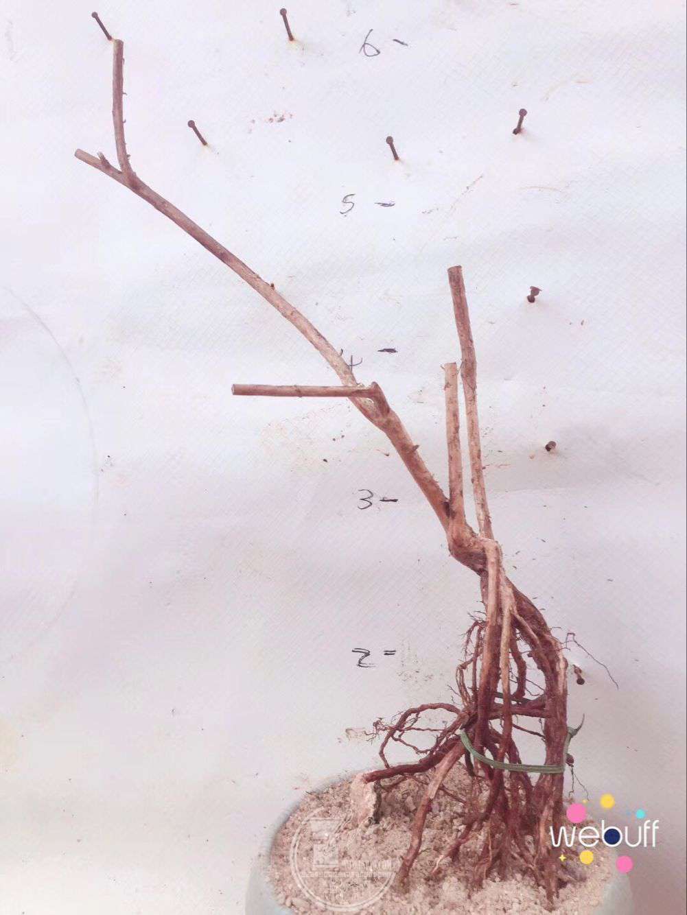 QQͼƬ20180403091510.jpg