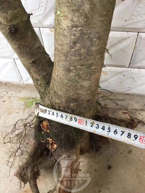 933522