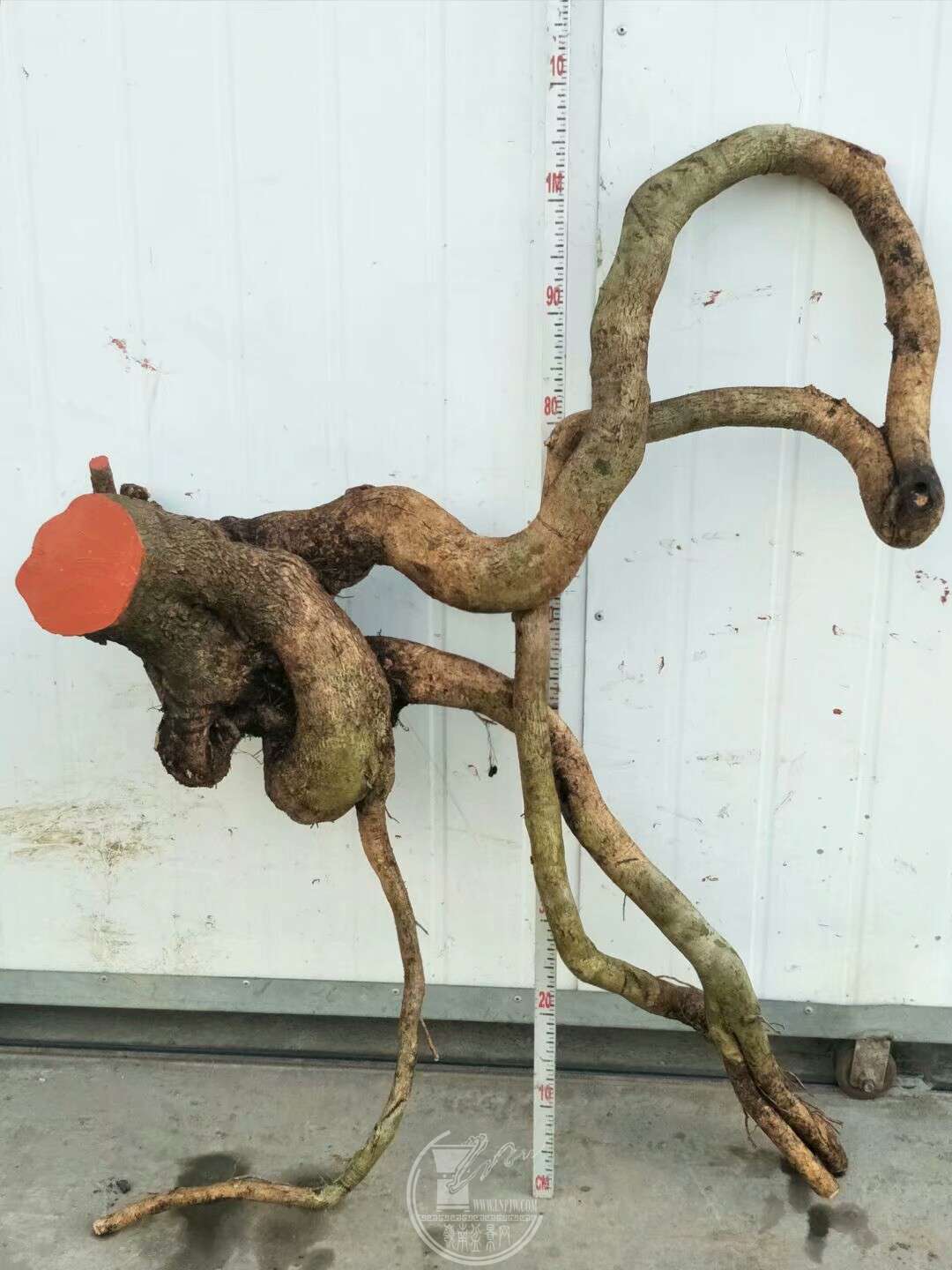 1523408769381.jpeg