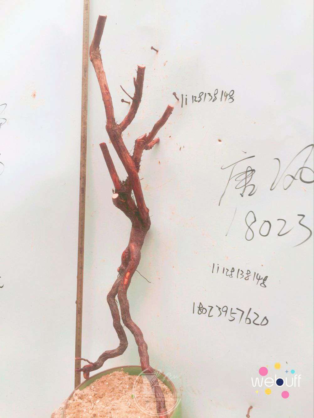 QQͼƬ20180413215025.jpg