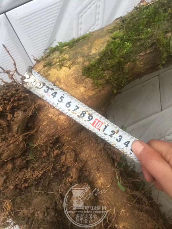 935883
