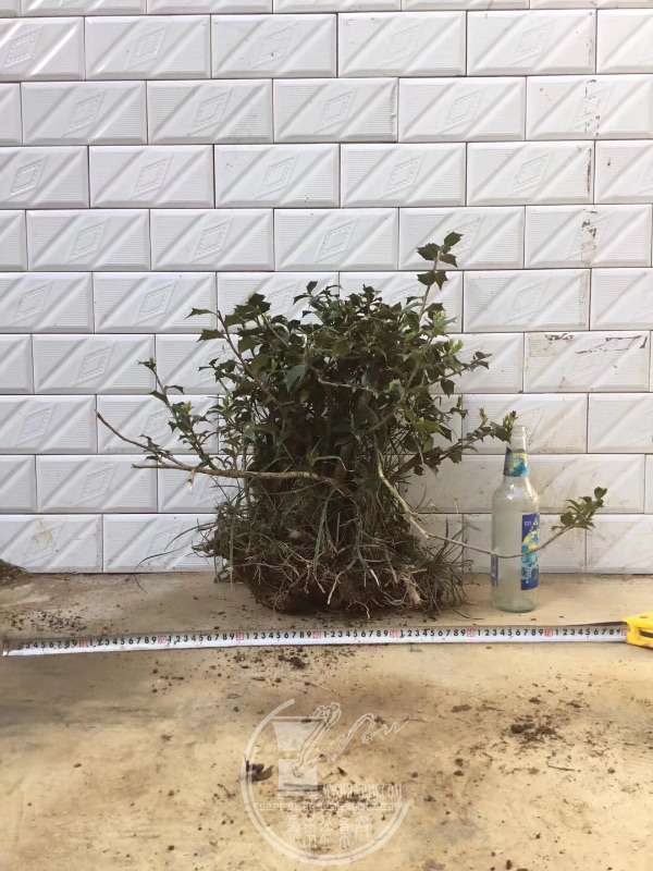 935940