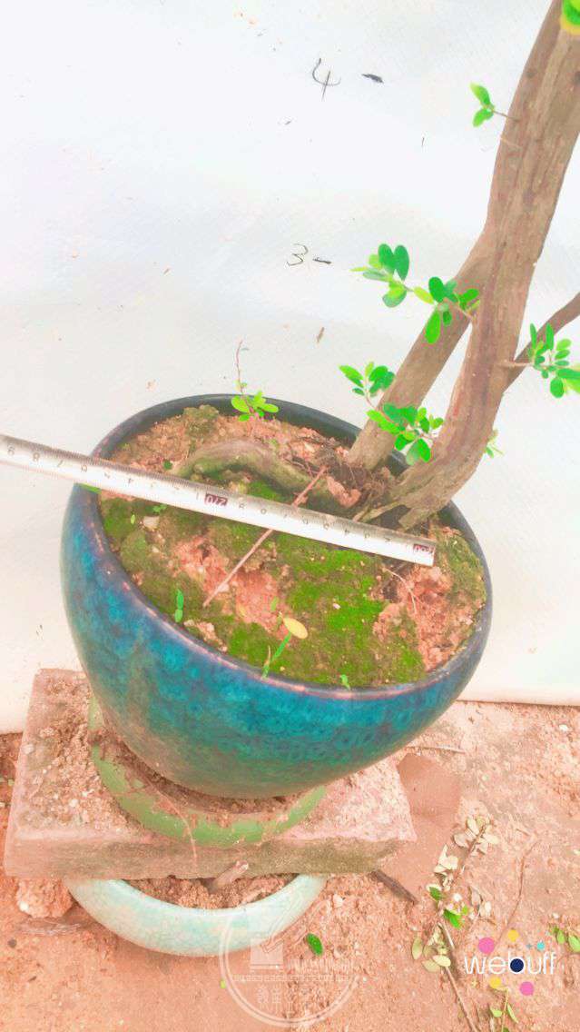 QQͼƬ20180426160130.jpg