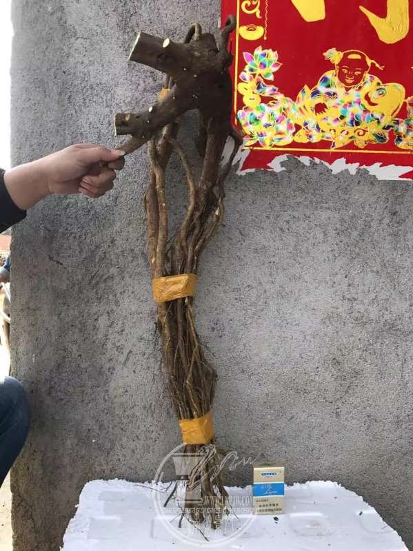 938555