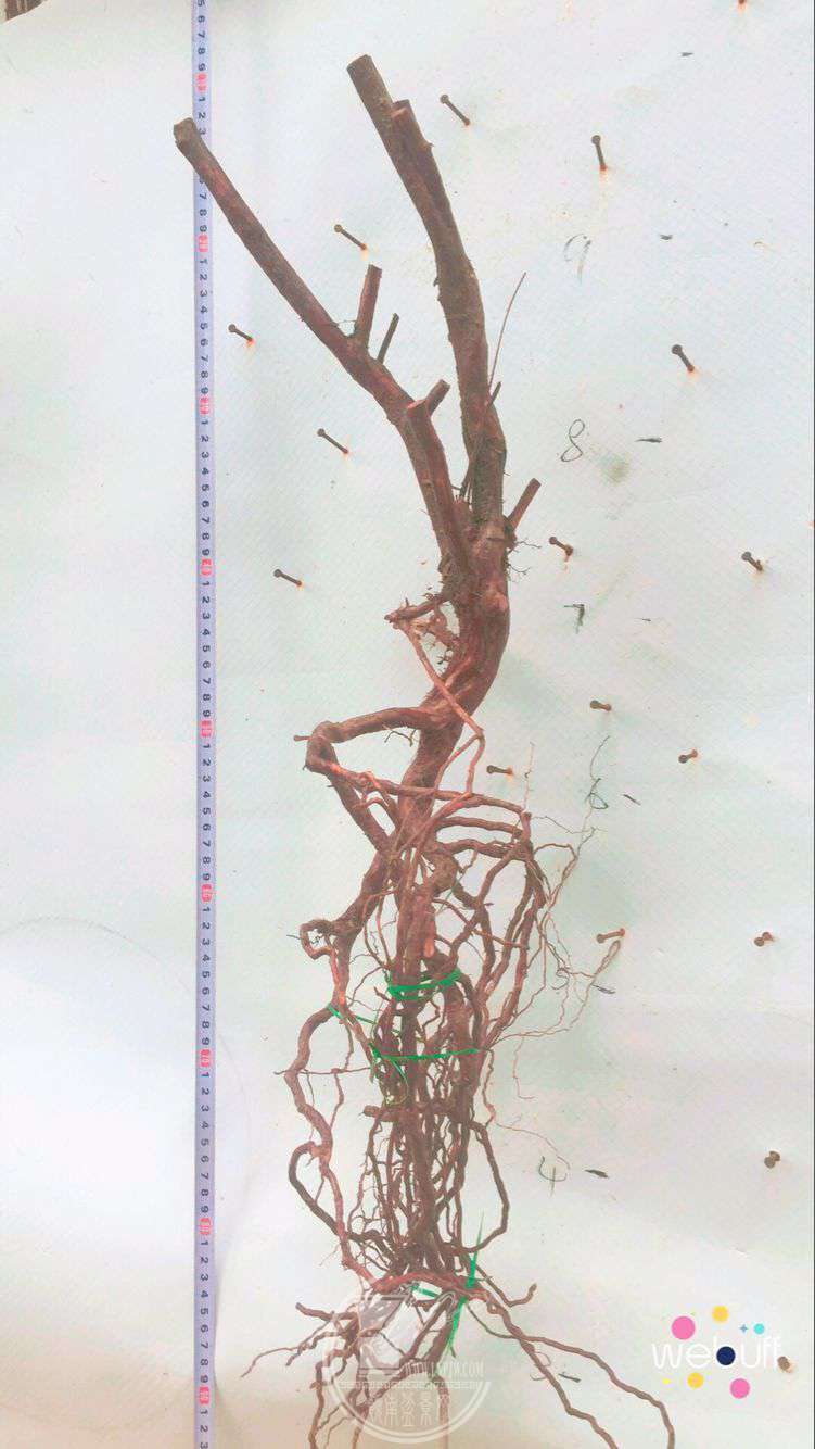 QQͼƬ20180505191523.jpg