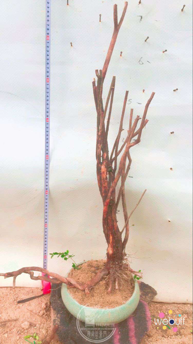 QQͼƬ20180506090801.jpg