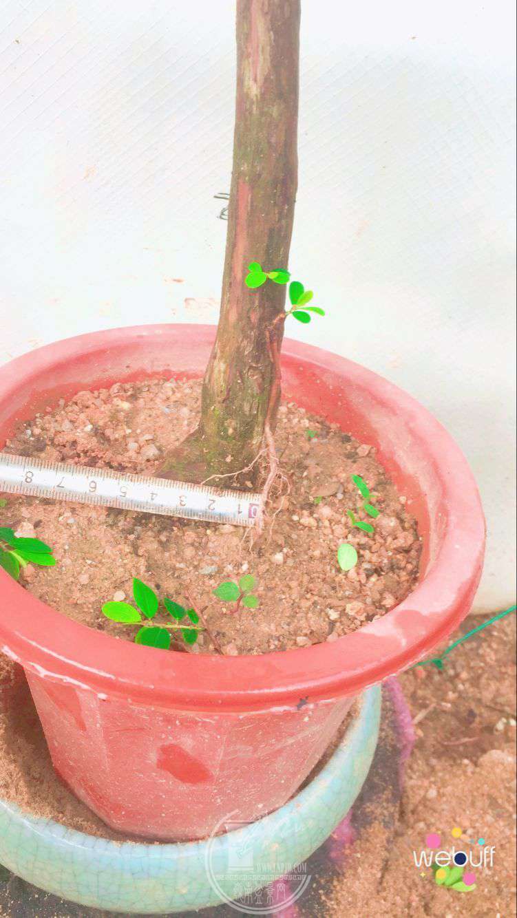 QQͼƬ20180506094104.jpg