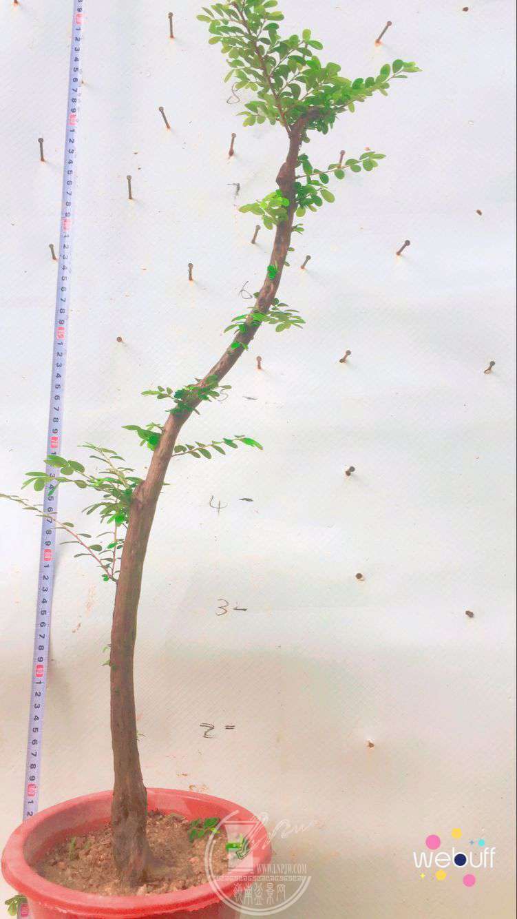 QQͼƬ20180506094108.jpg