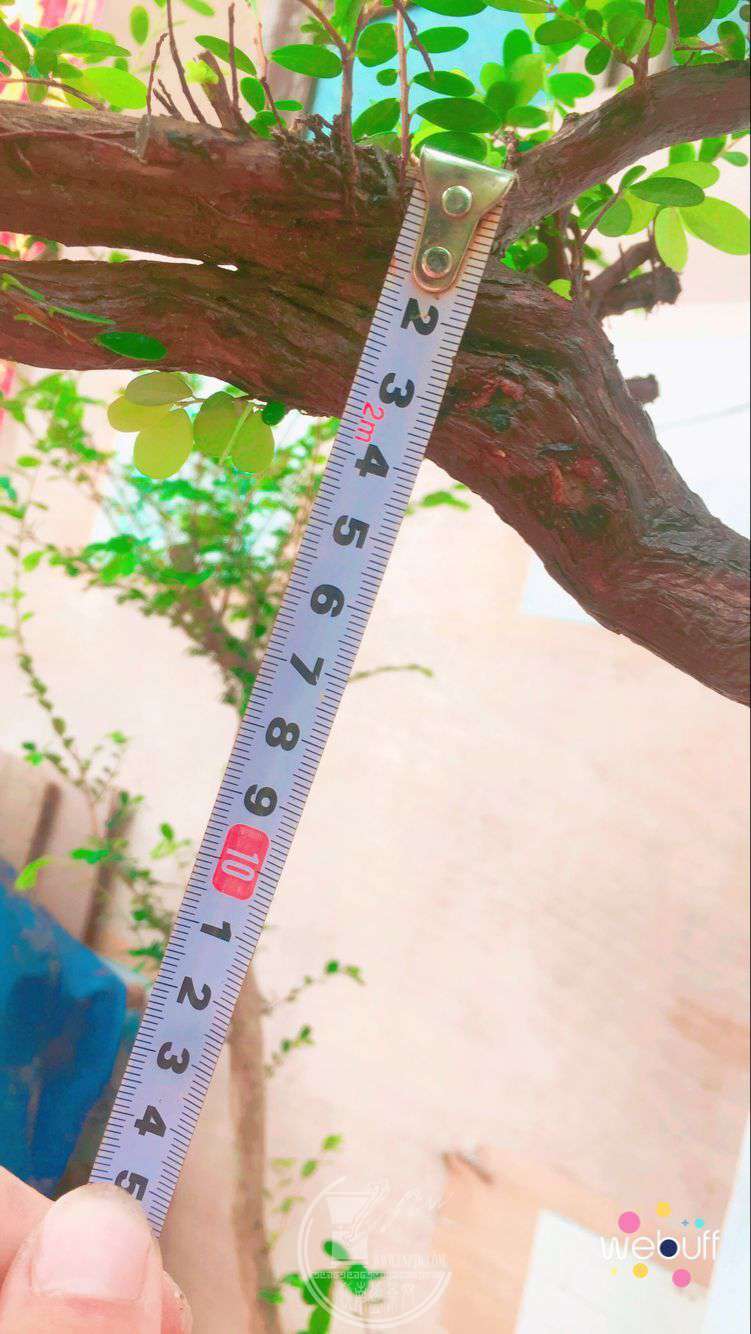 QQͼƬ20180512104005.jpg