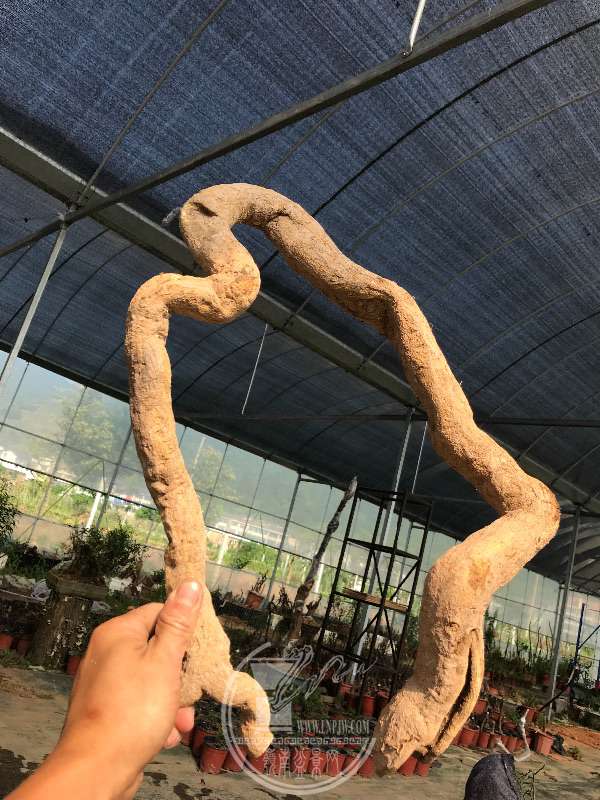 939541