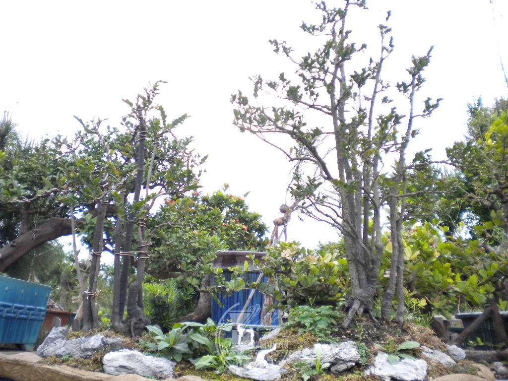 DSCN8938.JPG