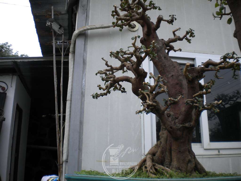 DSCN0014.JPG
