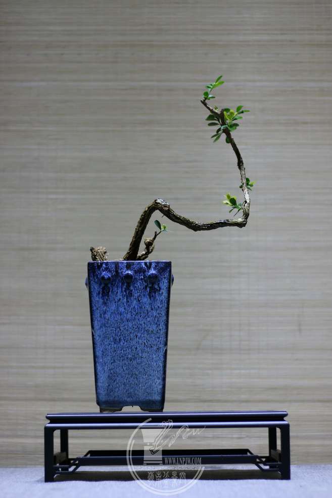 IMG_5425_С.JPG