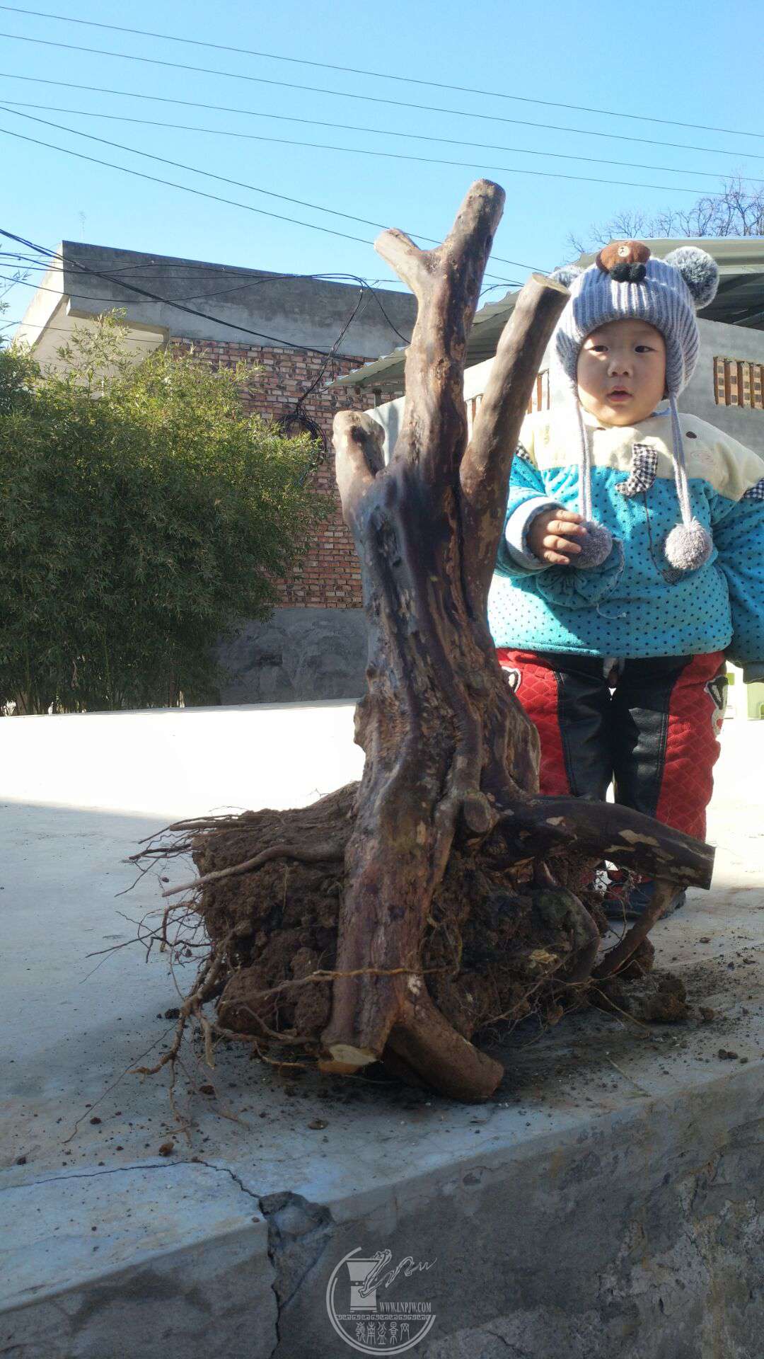 QQͼƬ20181217115901.jpg