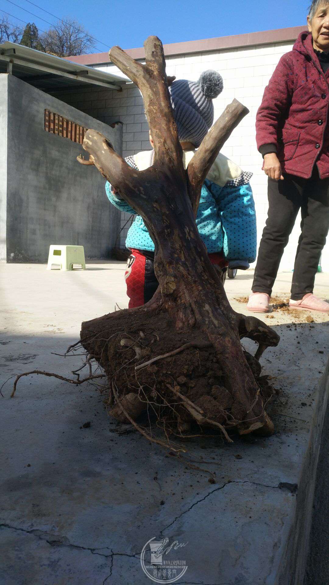 QQͼƬ20181217115916.jpg