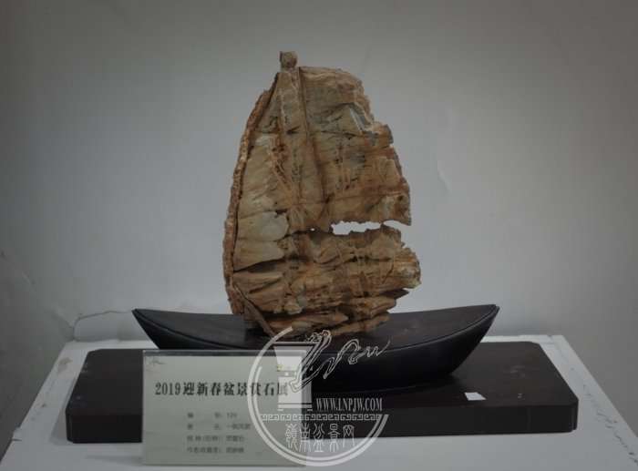 111618eby9izd2y1u9ud2y.jpg.thumb.jpg