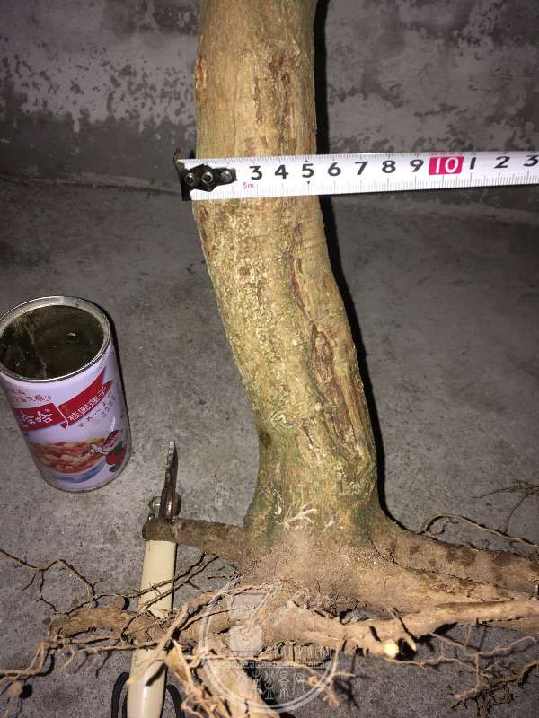 956553