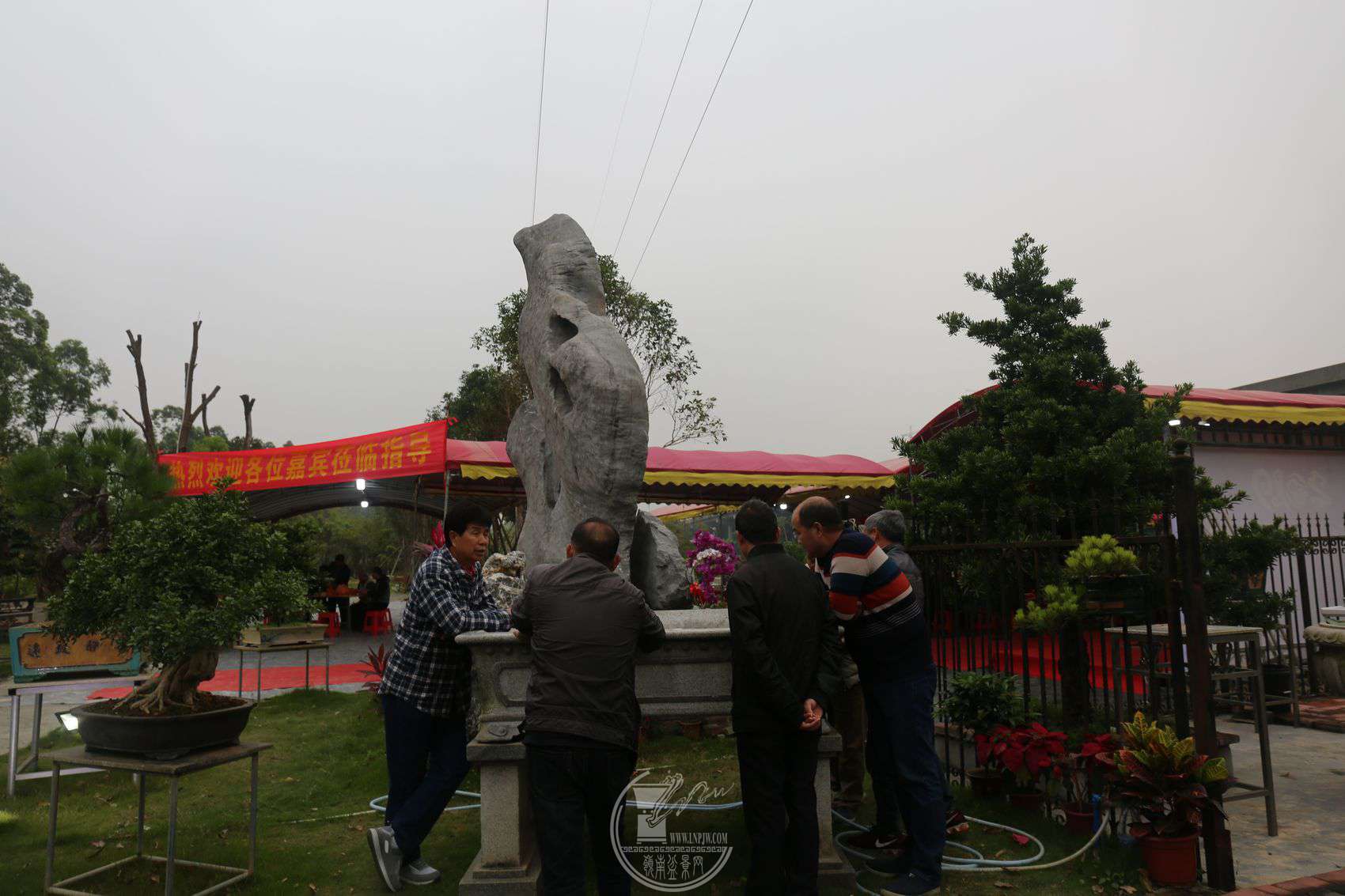 81081210544.jpg