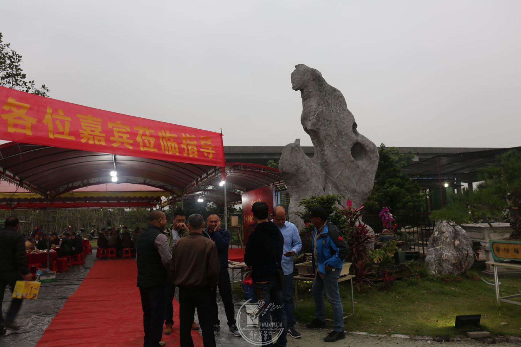91081210532.jpg