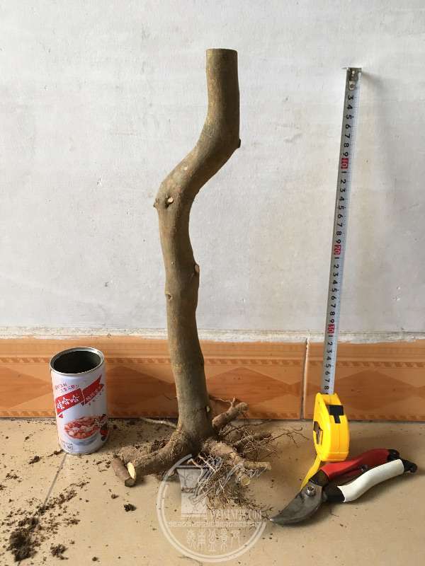 959540