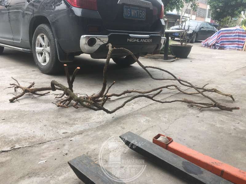 959972