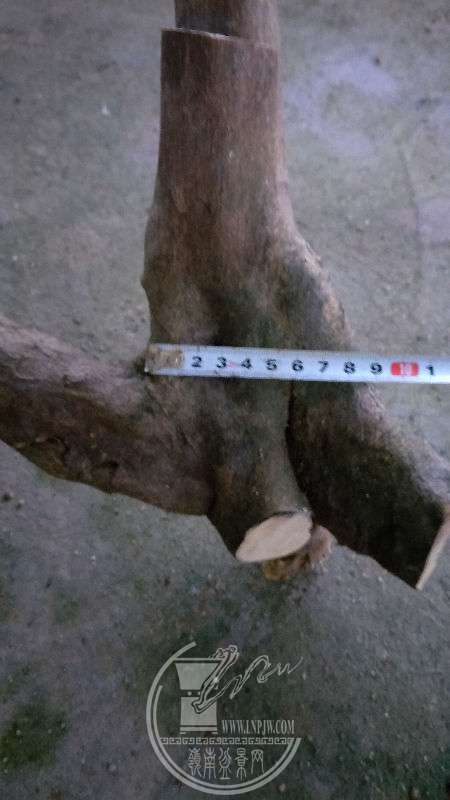 961271