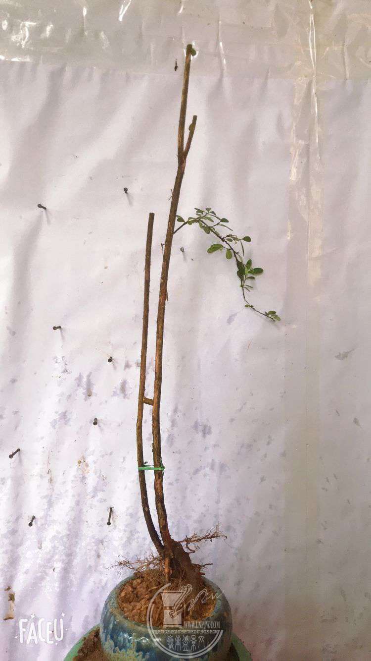QQͼƬ20190508124238.jpg
