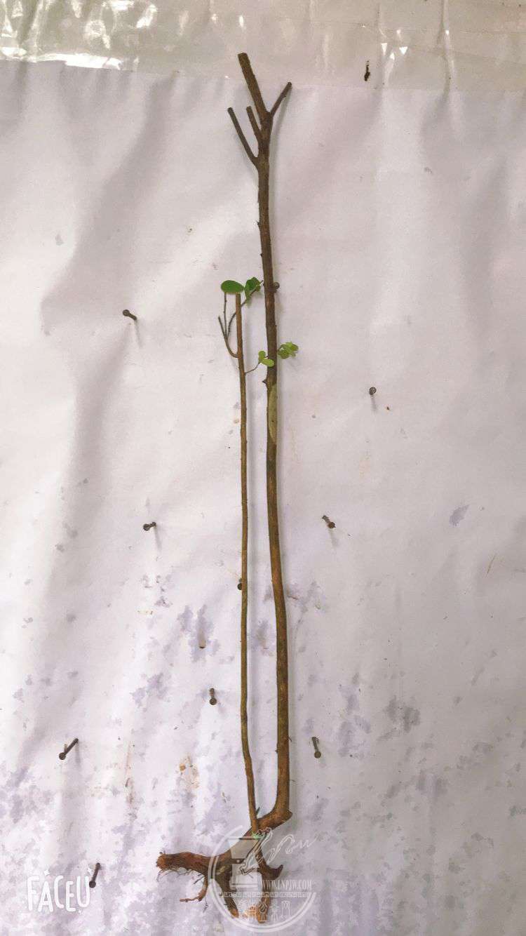 QQͼƬ20190508125051.jpg