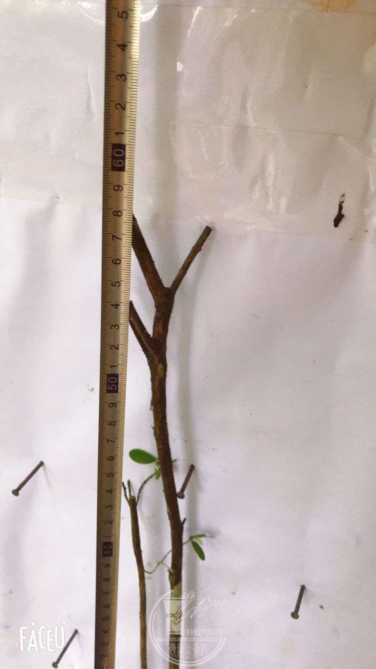 QQͼƬ20190508125103.jpg